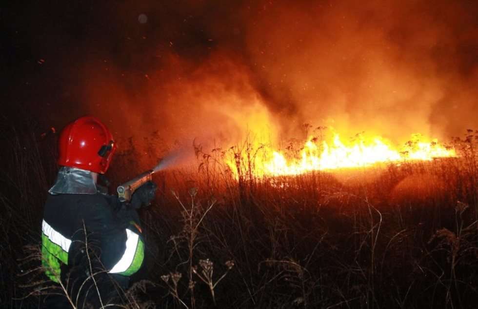 Pożar traw na górkach czechowskich (zdjęcie 7) - Autor: Wojciech Nieśpiałowski