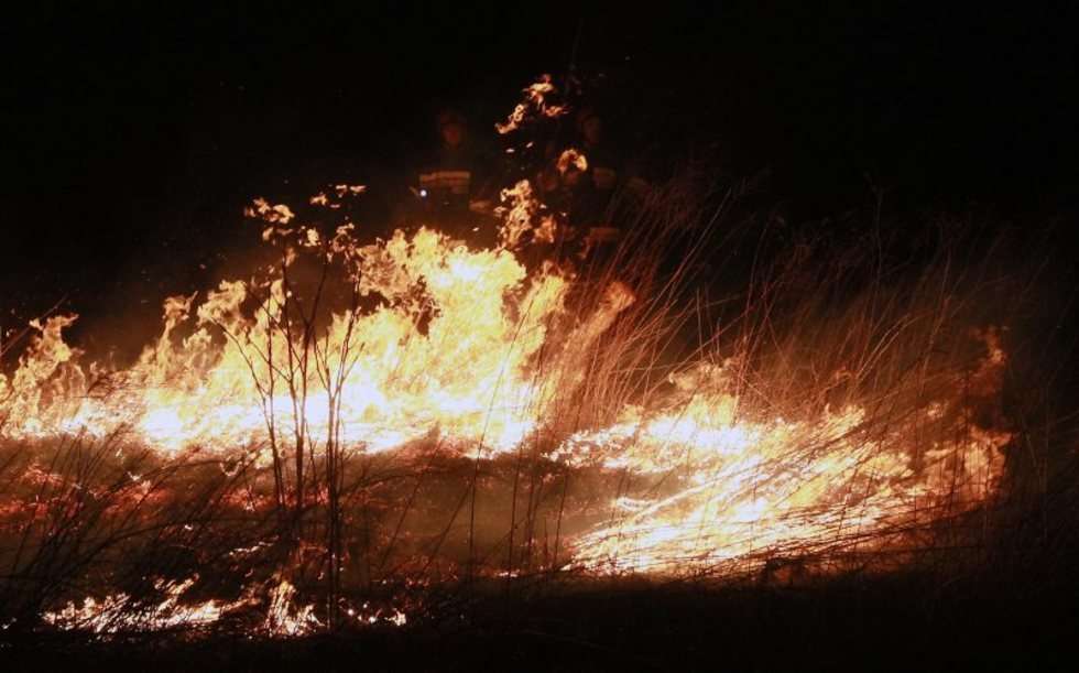  Pożar traw na górkach czechowskich (zdjęcie 8) - Autor: Wojciech Nieśpiałowski