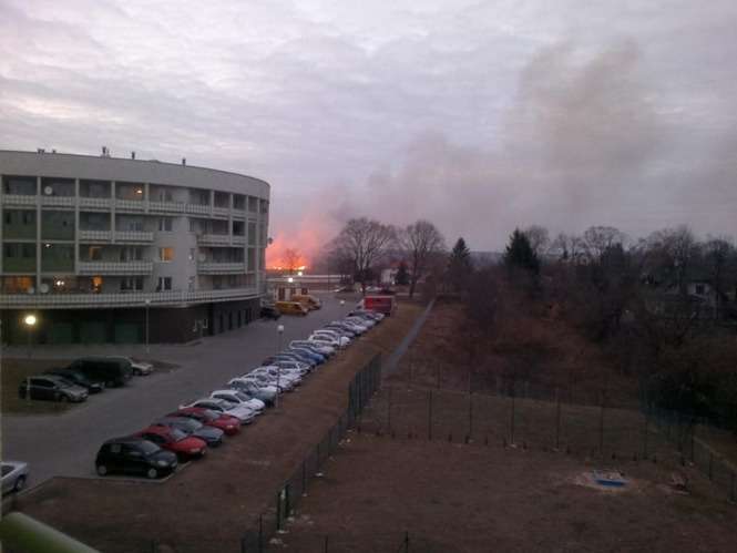 Pożary traw w Lublinie