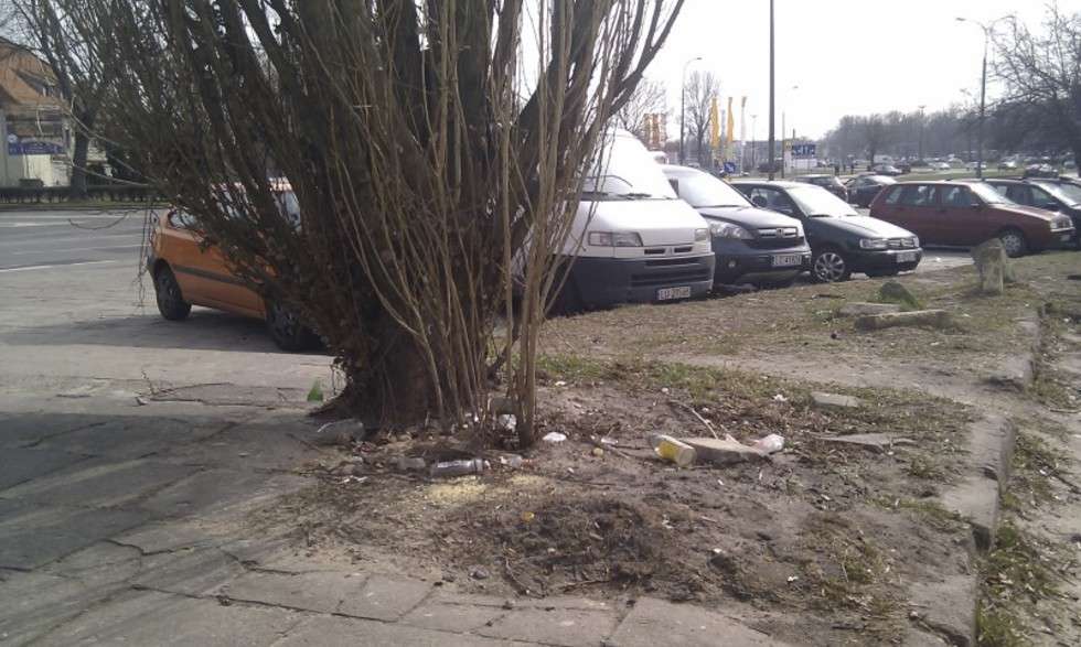  Od długiego czasu nie można ustalić kto powinien posprzątać zaniedbane dwa metry kw. pasa zieleni przy ulicy Lwowskiej 4-6. Administracja twierdzi 
że to teren miasta, a miasto twierdzi że to teren podlegający pod administrację