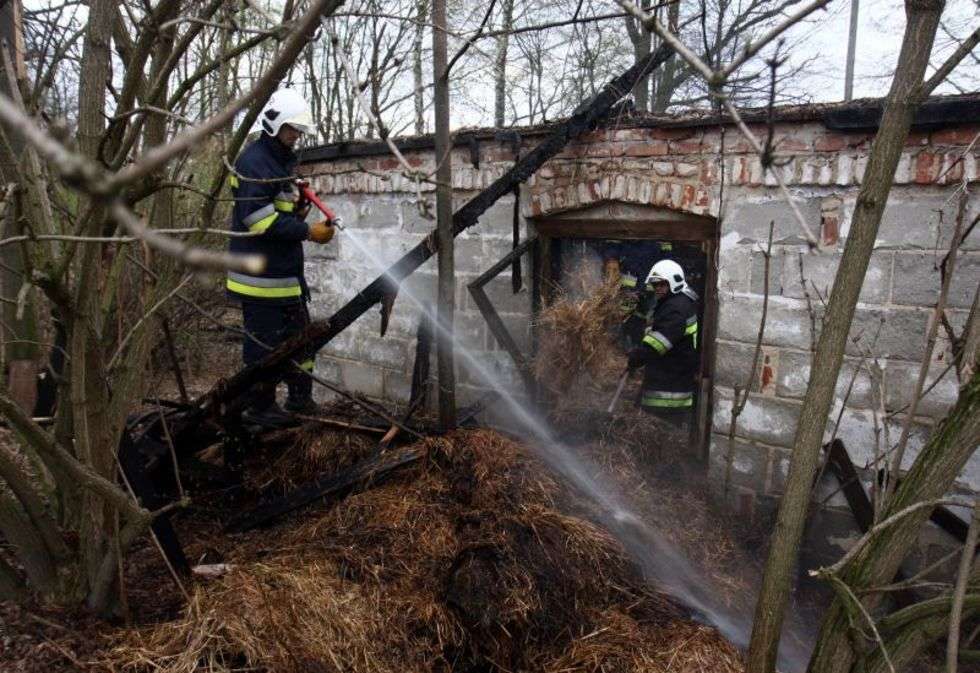  Sadurki: dogaszanie pożaru po podpalaczu (zdjęcie 5) - Autor: Jacek Świerczyński