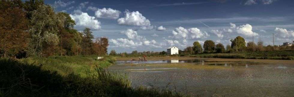  Zdjęcie przedstawia panoramę zalewu krępieckiego. Wykonana została w miejscowości Krępiec jesienią zeszłego roku, w czasie wycieczki rowerowej w te okolice