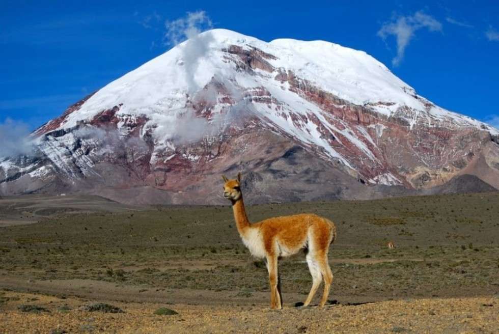  Zdjęcie wigonia na tle ekwadorskiego wulkanu Chimborazo w Ekwadorze. Co czyni go taks szczególnym, to fakt, że jego szczyt jest miejscem najbardziej oddalonym od środka ziemi. W języku keczua, Chimborazo oznacza "wielką śnieżną górę".