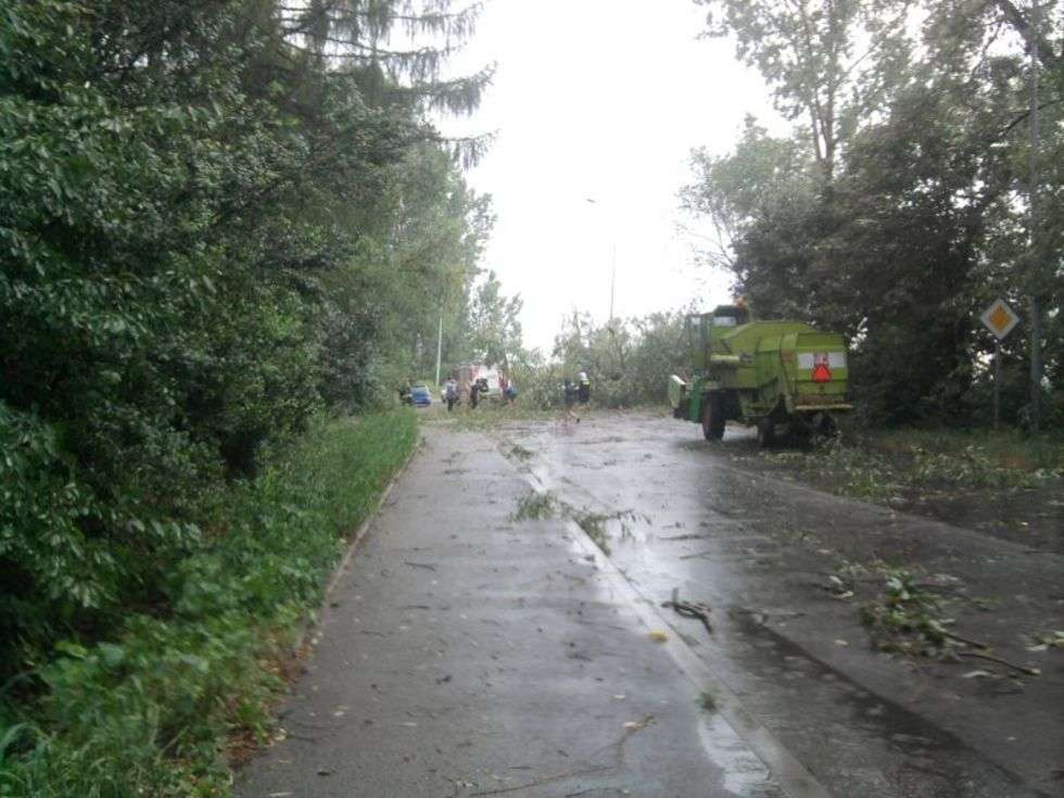  Około godziny 13.10 nad Prawiednikami rozpętała się burza, mocny wiatr przewrócił kilka drzew, w tym jedno przy trasie Lublin-Bychawa