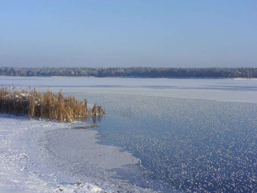  Zalew w zimowej szacie. Zdjęcie zostało wykonane podczas spaceru w mroźny styczniowy poranek. Data wykonania 20 stycznia 2010r.