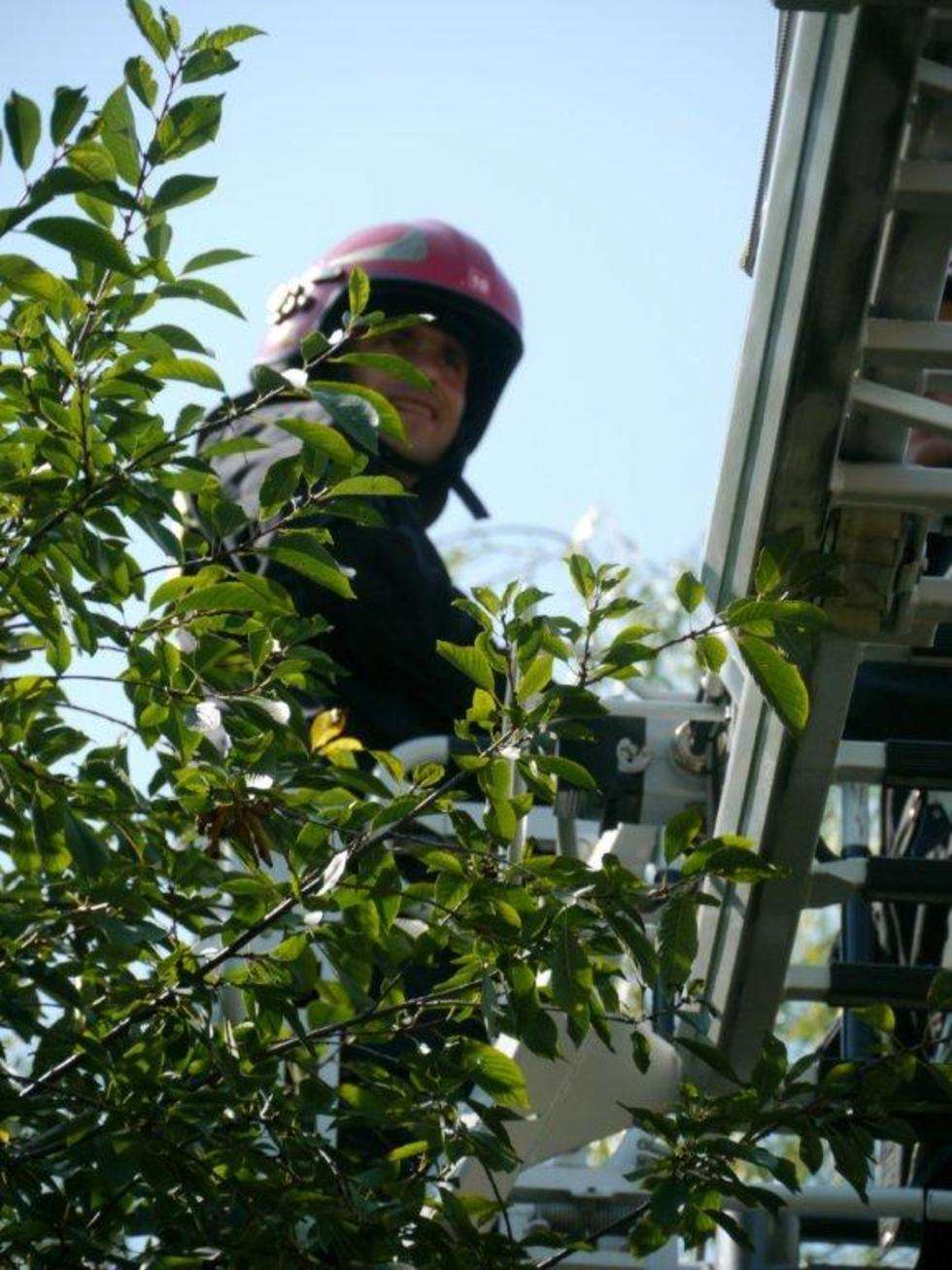  Zamość: Strażacy ściągali małpę z drzewa. Usnęła (zdjęcie 11) - Autor: Zoo w Zamościu