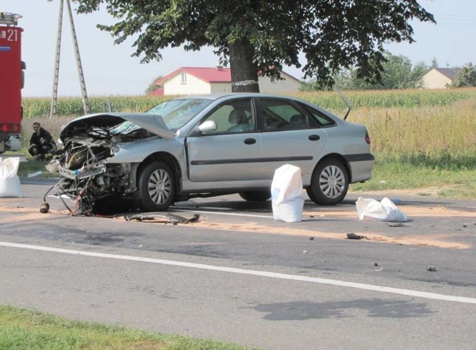  Strzeszkowice Duże. Zdjęcia z wypadku (zdjęcie 8) - Autor: Fotonews / MM Lublin