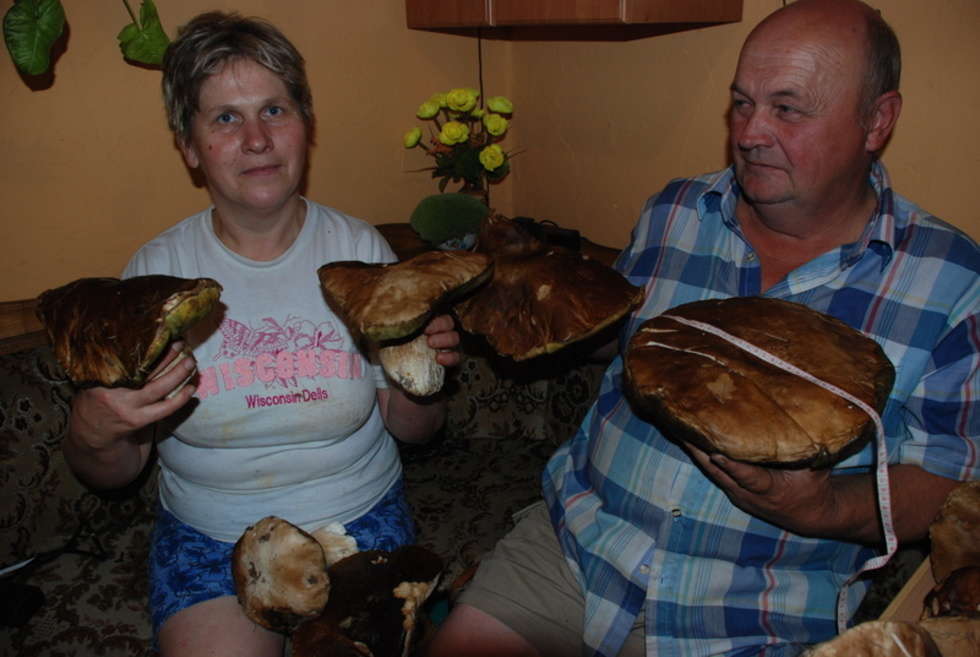  Wysyp grzybów w janowskich lasach (zdjęcie 2) - Autor: Zdjęcie od Czytelnika
