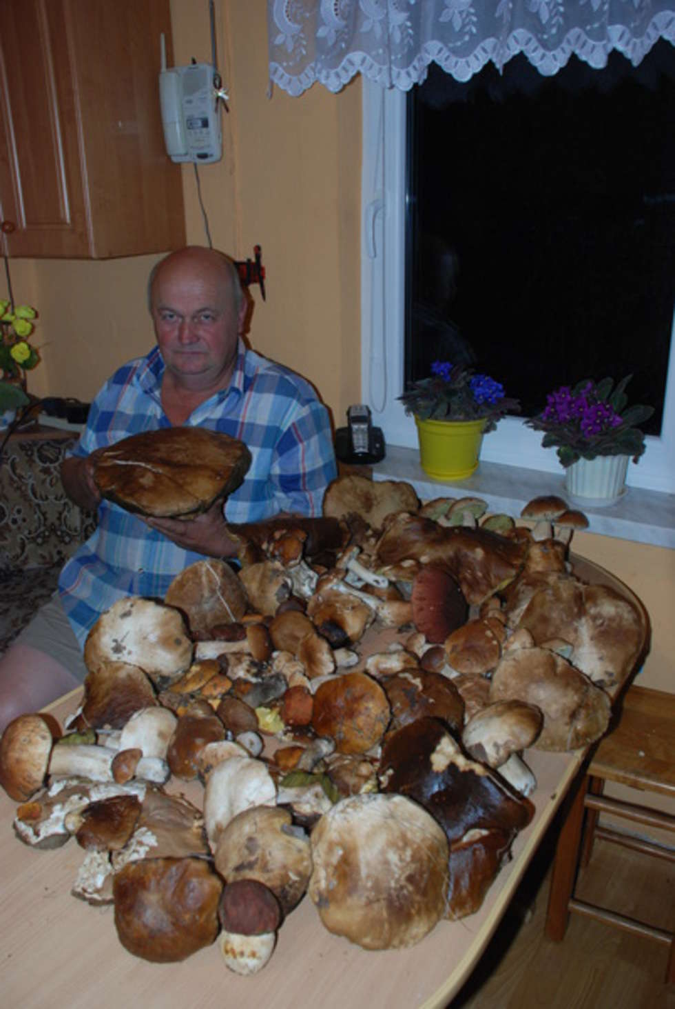  Wysyp grzybów w janowskich lasach (zdjęcie 3) - Autor: Zdjęcie od Czytelnika