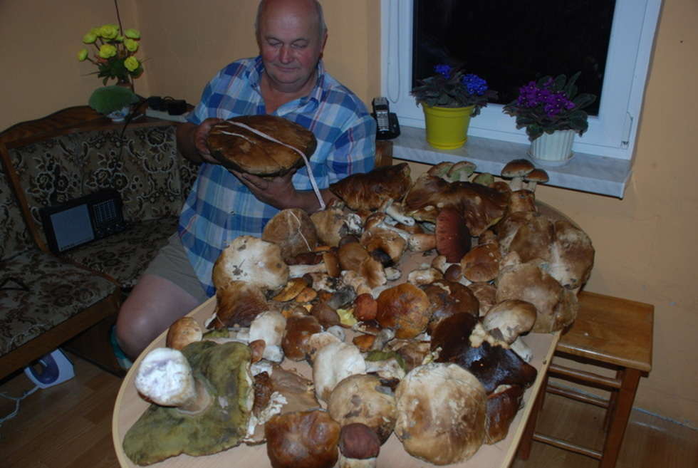  Wysyp grzybów w janowskich lasach (zdjęcie 4) - Autor: Zdjęcie od Czytelnika