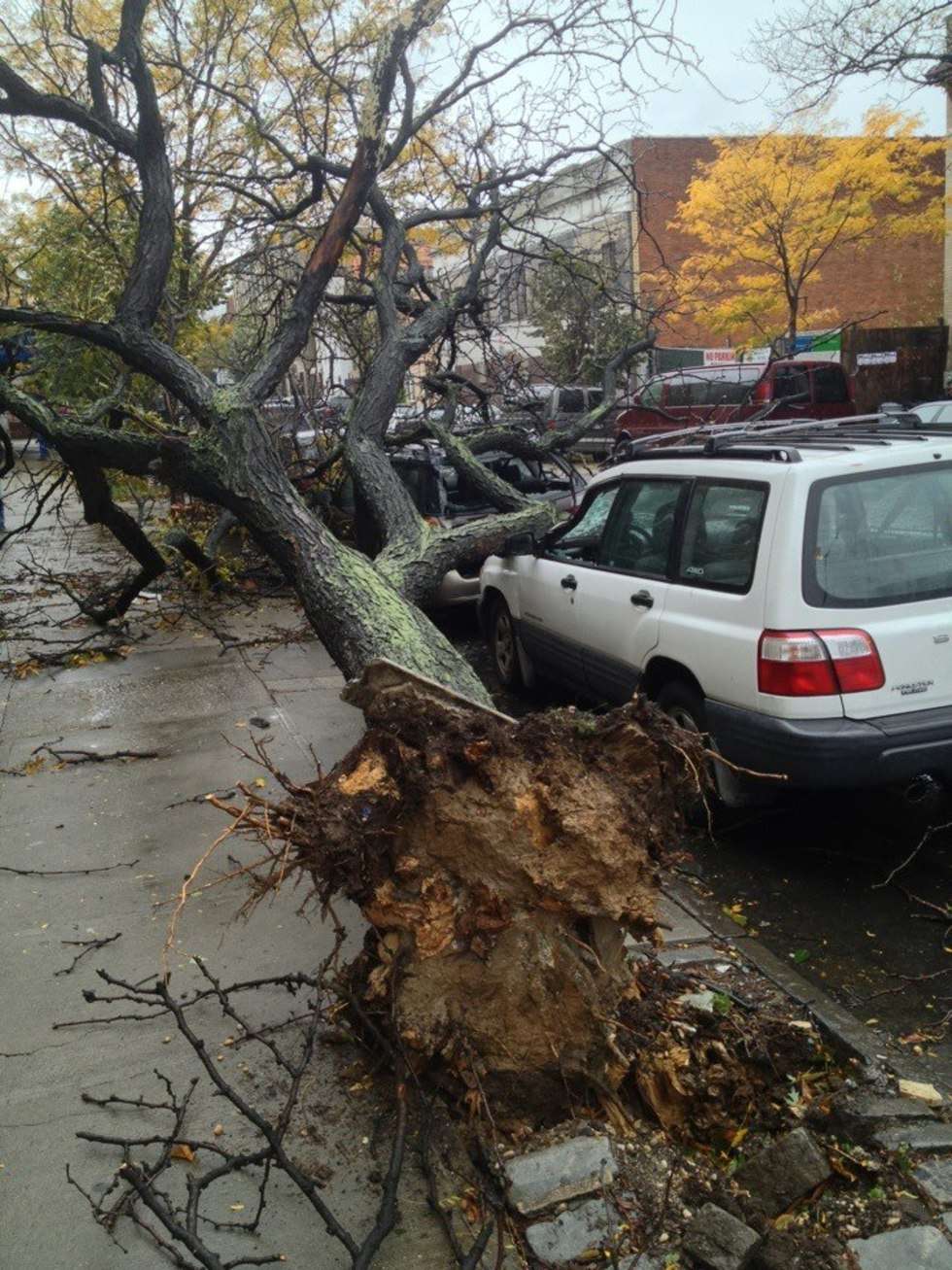  Atak huraganu Sandy w USA (zdjęcie 11) - Autor: Kenneth Tin-Kin Hung