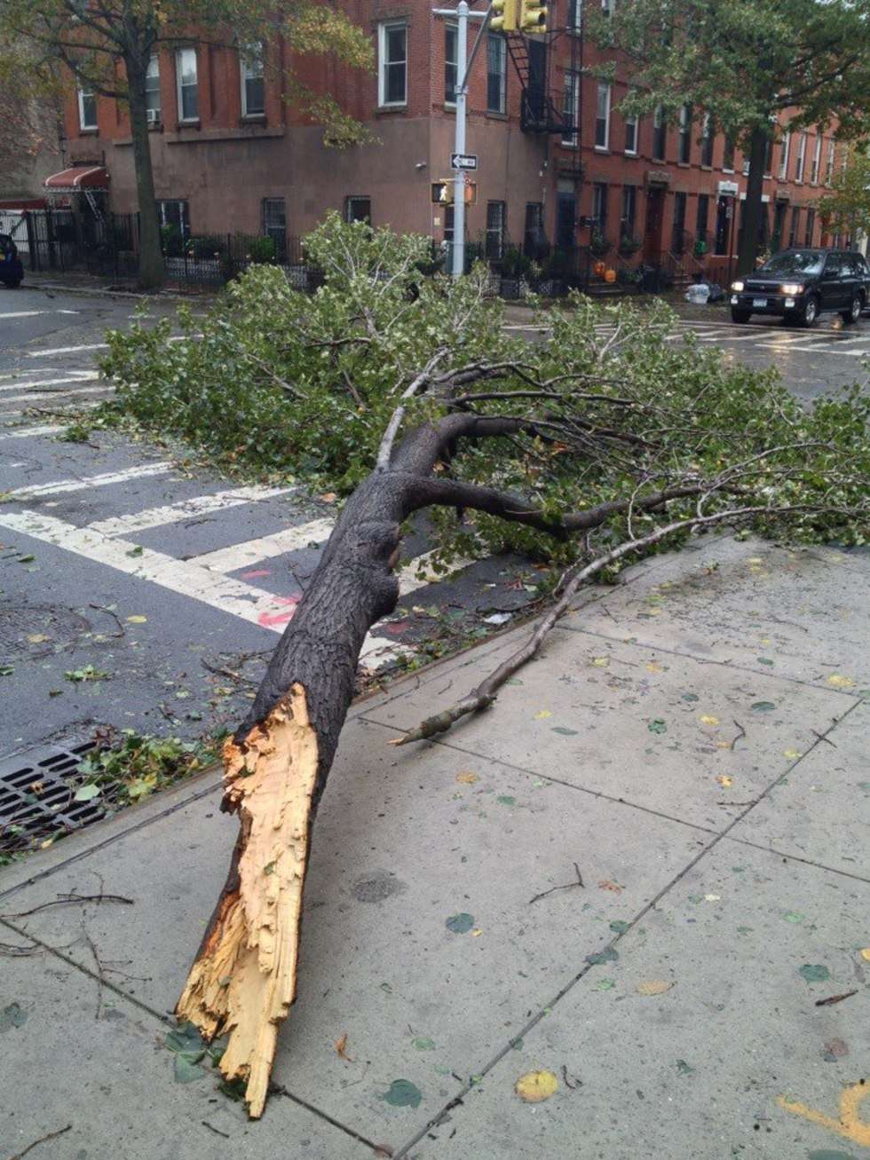  Atak huraganu Sandy w USA (zdjęcie 13) - Autor: Kenneth Tin-Kin Hung