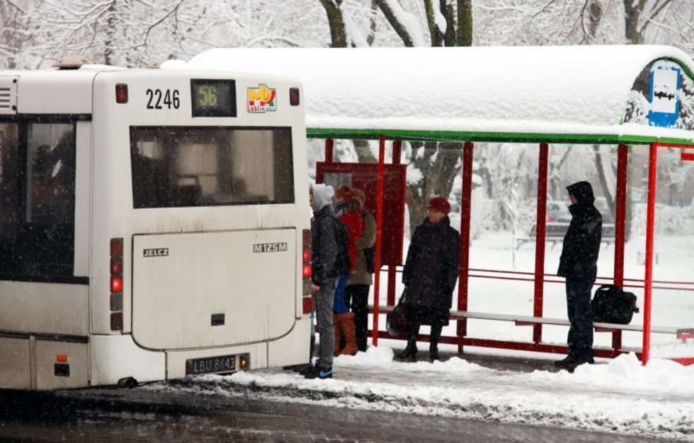  Zima w Lublinie (zdjęcie 8) - Autor: Hanna Bytniewska