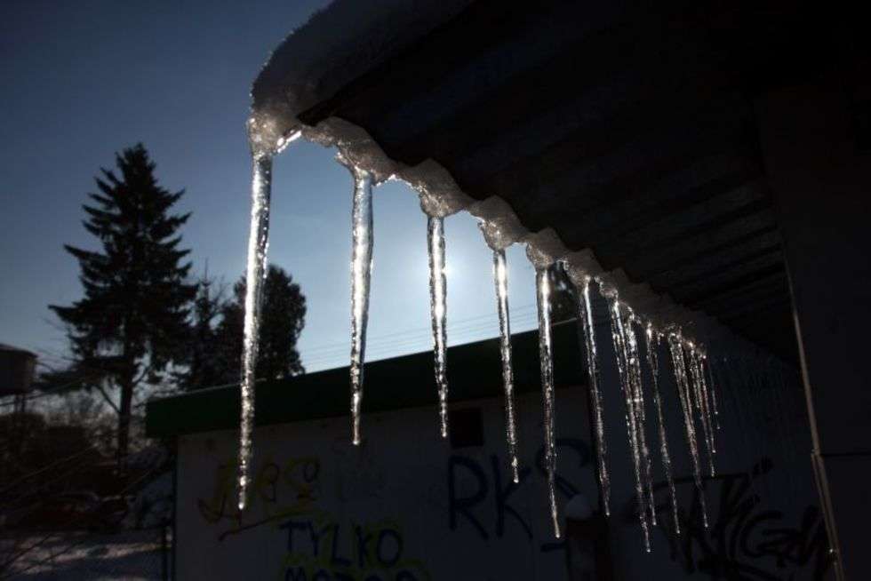  Zima w Kraśniku (zdjęcie 6) - Autor: Jacek Świerczyńki