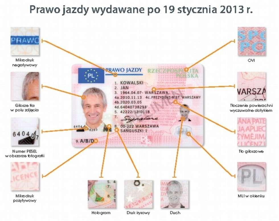  Tak wygląda nowe prawo jazdy (zdjęcie 3) - Autor: Polska Wytwórnia Papierów Wartościowych 