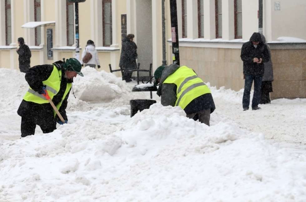  Zima w Lublinie (zdjęcie 5) - Autor: Wojciech Nieśpiałowski
