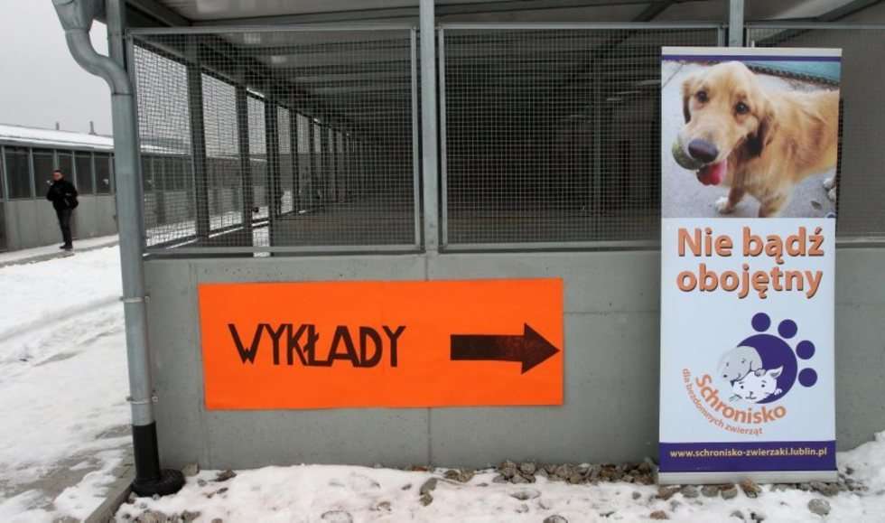  Dzień otwarty w Schronisku dla Bezdomnych Zwierząt w Lublinie (zdjęcie 22) - Autor: Wojciech Nieśpiałowski