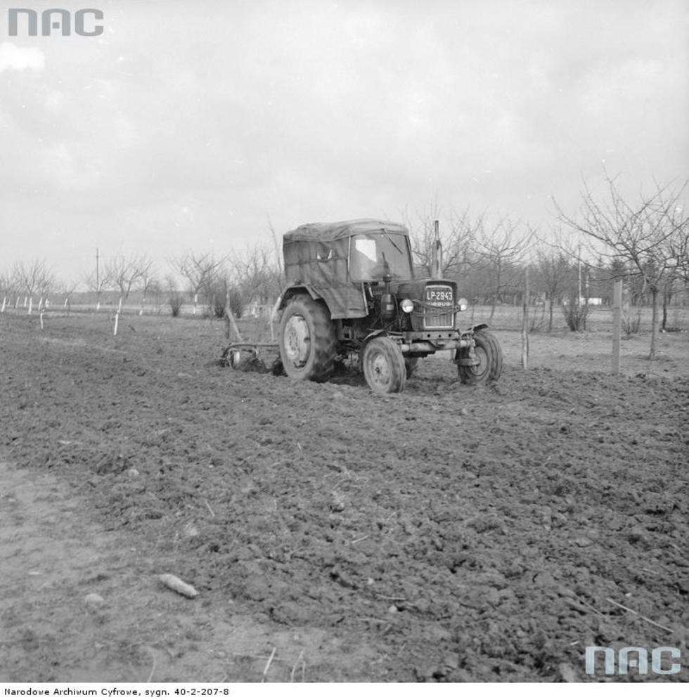  Wiosenne prace polowe w okolicach Puław. Sprężynowanie ziemi w sadzie ciągnikiem Ursus C-330 z bronami sprężynowymi.<br>Data wydarzenia: 1970<br /><br /> Autor:<a href="http://www.nac.gov.pl/"> NAC</a>