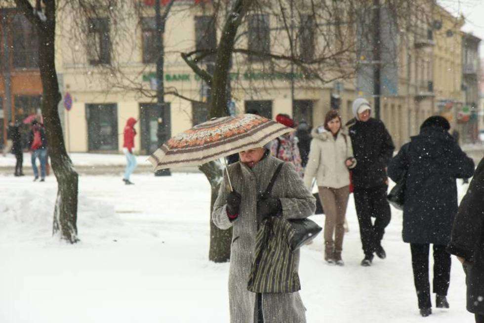  Powtórka z zimy (zdjęcie 14) - Autor: Maciej Kaczanowski