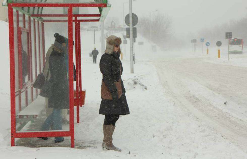  Atak zimy w Lublinie  - Autor: Maciej Kaczanowski