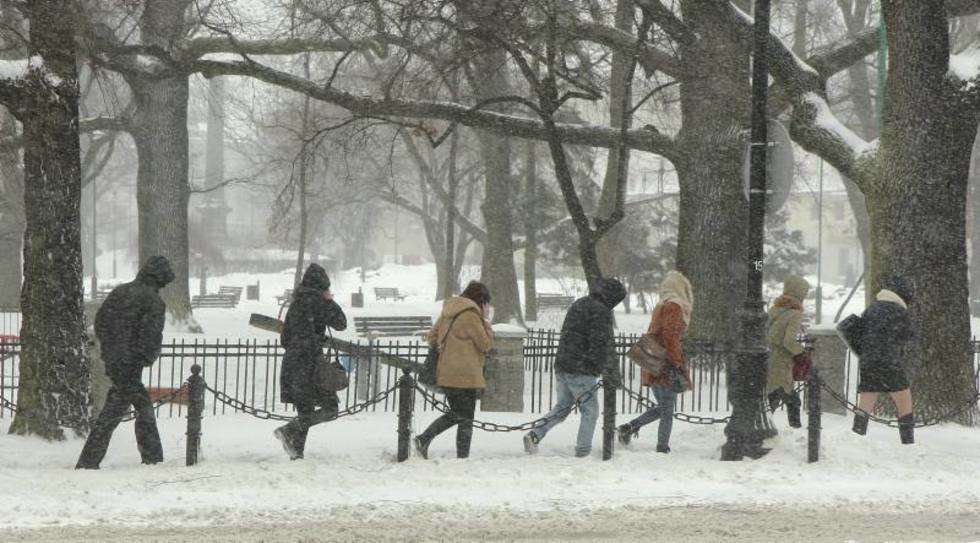  Atak zimy w Lublinie (zdjęcie 2) - Autor: Maciej Kaczanowski