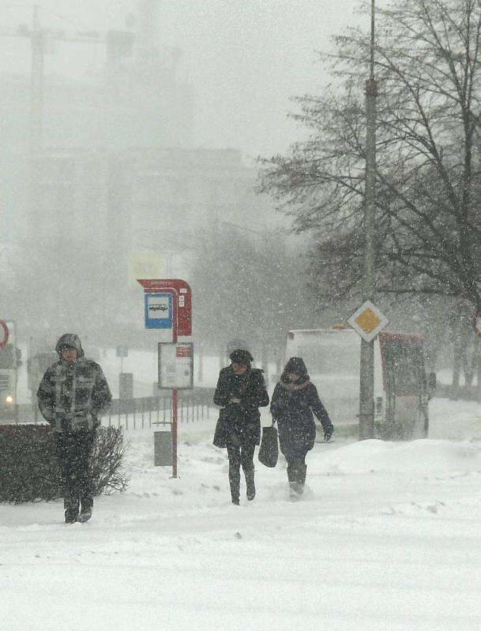  Atak zimy w Lublinie (zdjęcie 8) - Autor: Maciej Kaczanowski