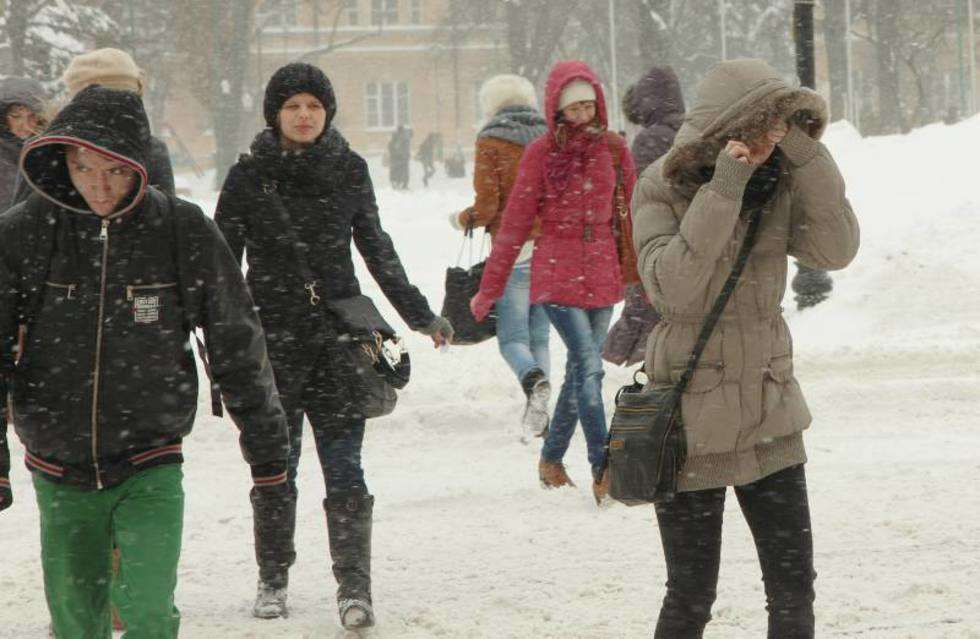  Atak zimy w Lublinie (zdjęcie 9) - Autor: Maciej Kaczanowski