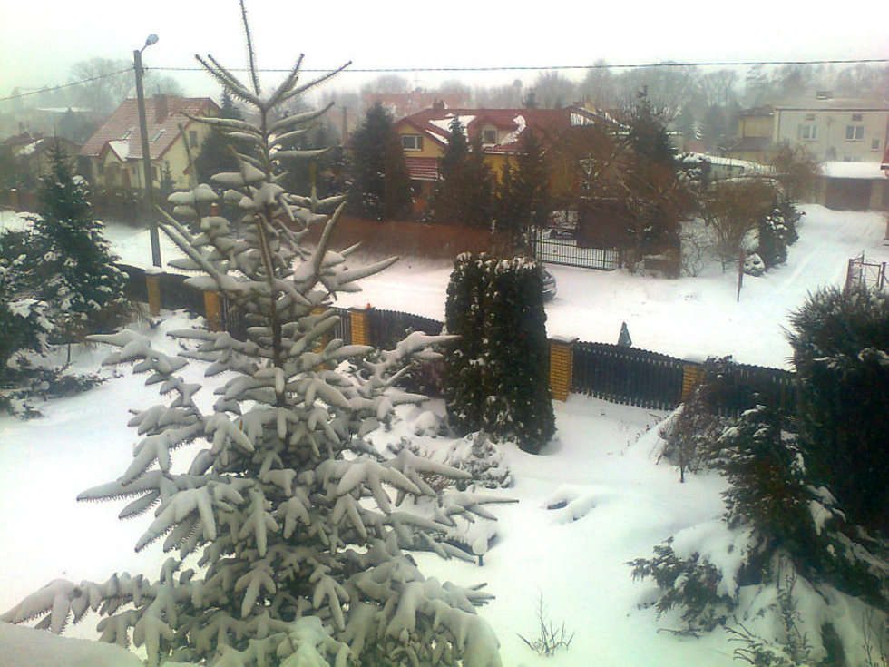  Zima w Lublinie i regionie (zdjęcie 39) - Autor: Kamil Piwowarczyk 