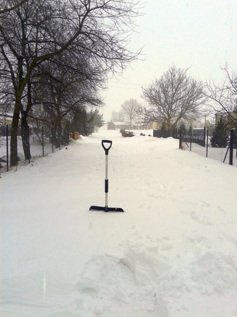  Zima w Lublinie i regionie (zdjęcie 47) - Autor: Barnaba6 / alarm24