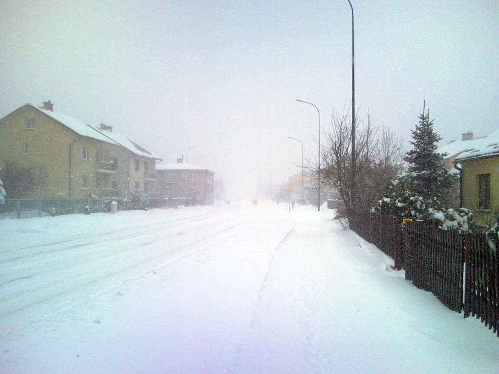  Zima w Lublinie i regionie (zdjęcie 58) - Autor: Bruno Hel / Alarm24
