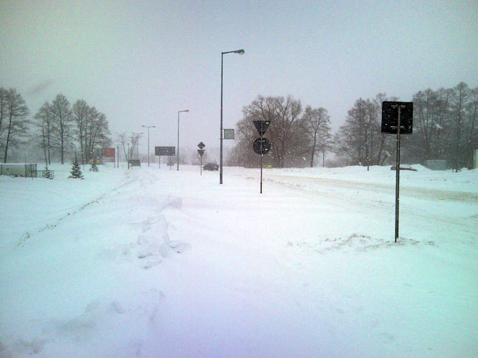  Zima w Lublinie i regionie (zdjęcie 60) - Autor: Bruno Hel / Alarm24