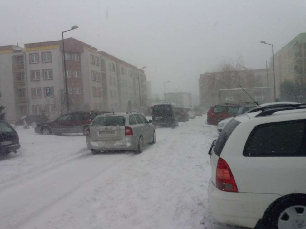  Zima w Lublinie i regionie (zdjęcie 89) - Autor: Arkoni