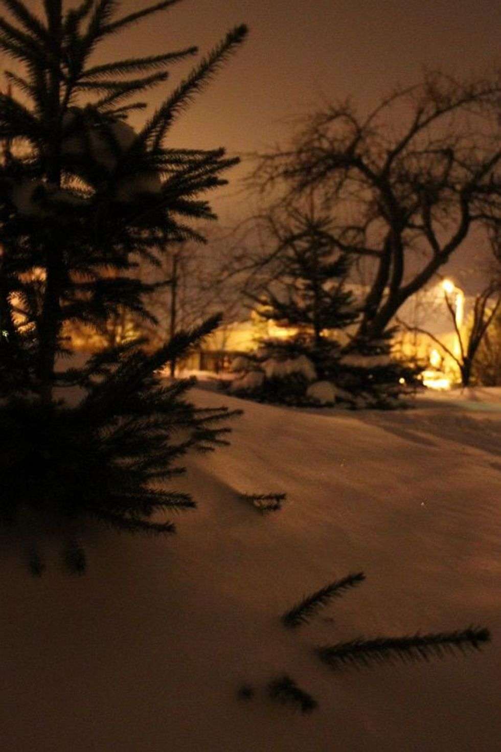  Zima w Lublinie i regionie (zdjęcie 94) - Autor: Edyta Ścibura