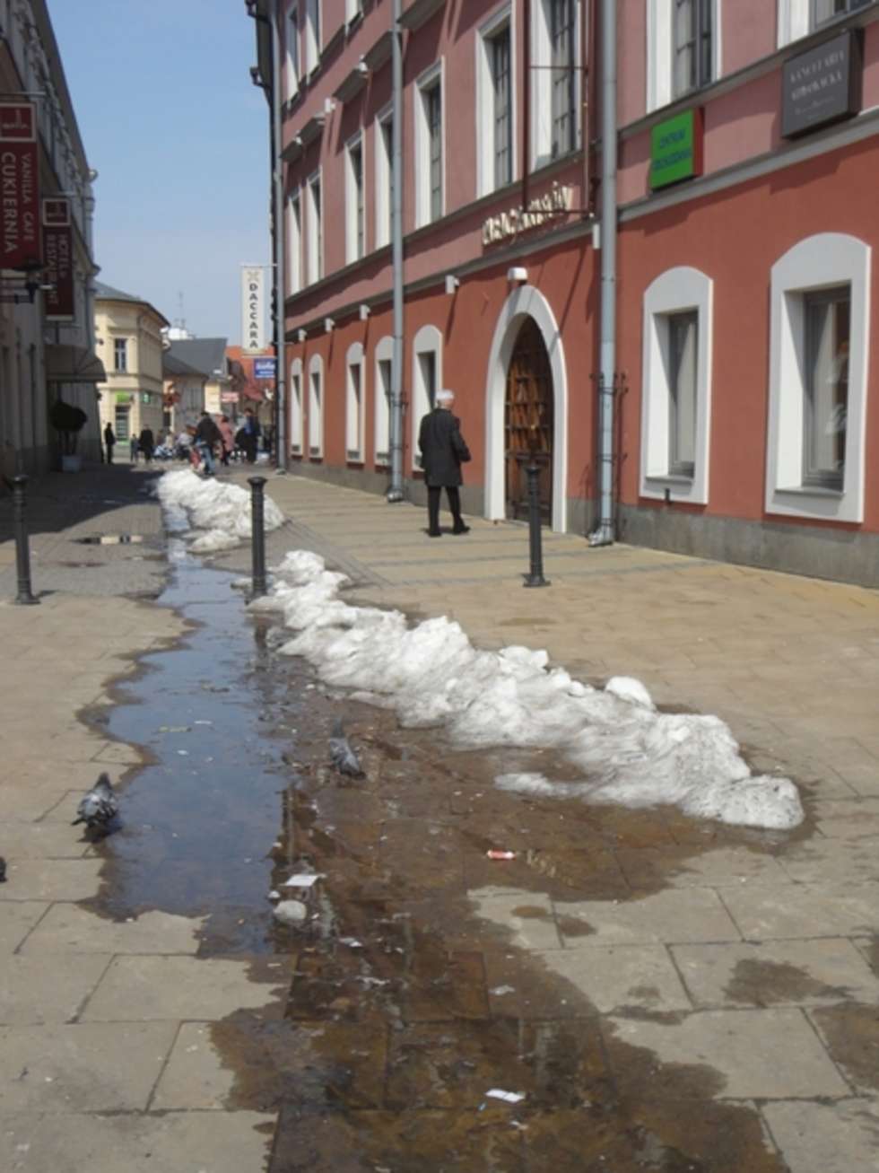  Wiosna odsłania brud na ulicach Lublina (zdjęcie 12) - Autor: Studentki dziennikarstwa