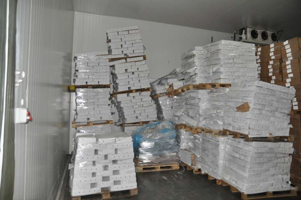  150 ton mięsa w nielegalnej chłodni w Tomaszowie (zdjęcie 18) - Autor: Policja