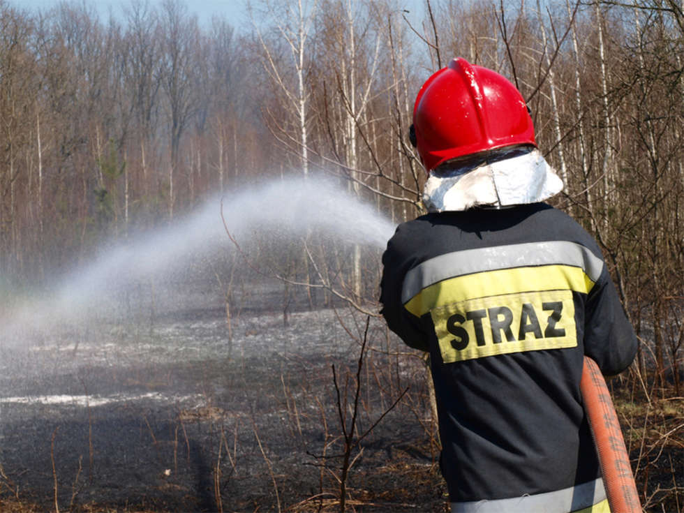  Pożar w lesie w Poniatowej (zdjęcie 2) - Autor: Piotr Kręgiel