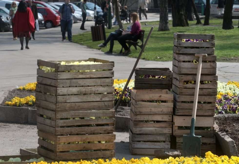  Wiosenne porządki na placu Litewskim (zdjęcie 2) - Autor: Wojciech Nieśpiałowski