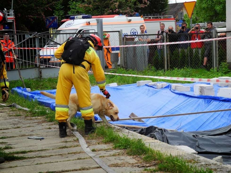  Strażacy ćwiczą na wypadek katastrofy (zdjęcie 14) - Autor: Tomasz Baran / KW PSP Lublin