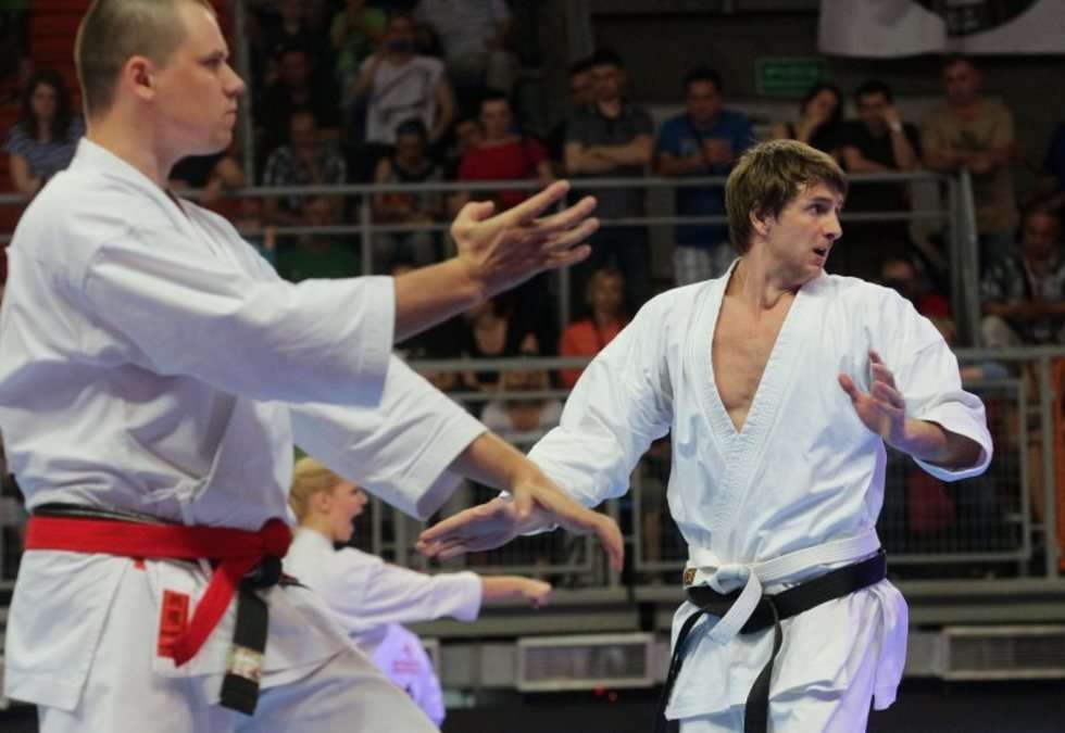  Puchar Świata w karate tradycyjnym w Lublinie (zdjęcie 10) - Autor: Wojciech Nieśpiałowski