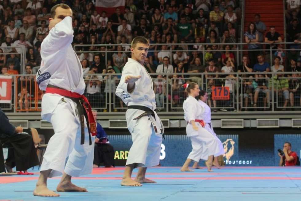  Puchar Świata w karate tradycyjnym w Lublinie (zdjęcie 11) - Autor: Wojciech Nieśpiałowski