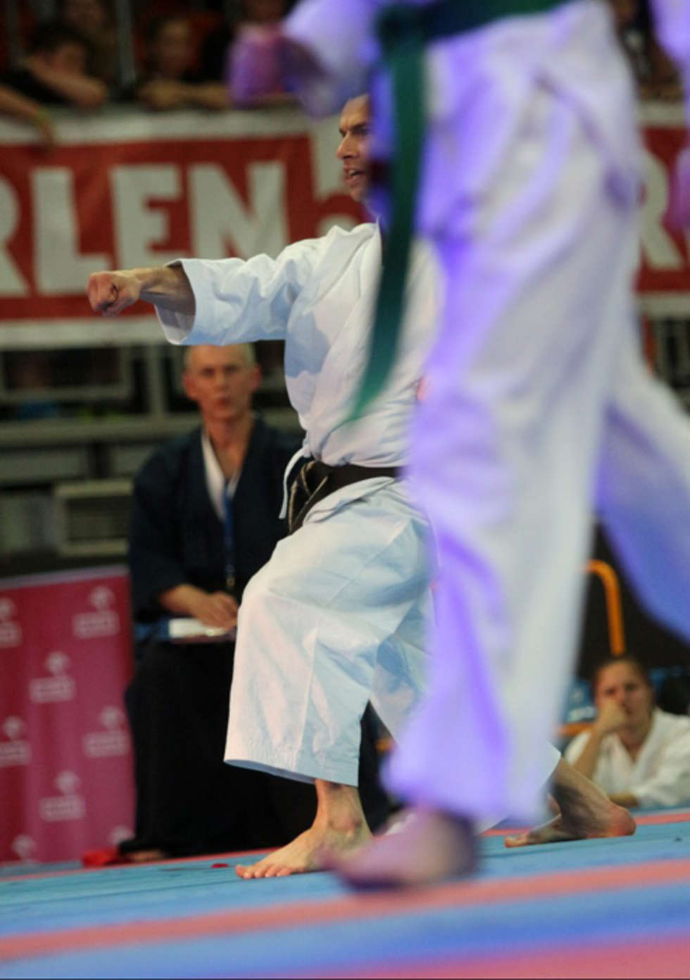 Puchar Świata w karate tradycyjnym w Lublinie (zdjęcie 18) - Autor: Wojciech Nieśpiałowski