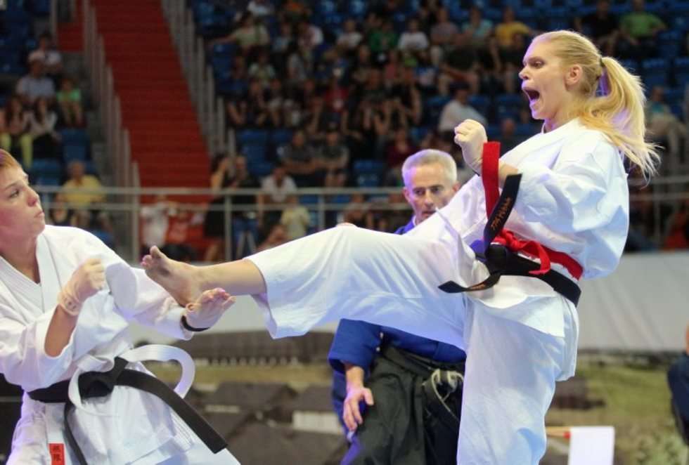  Puchar Świata w karate tradycyjnym w Lublinie (zdjęcie 21) - Autor: Wojciech Nieśpiałowski