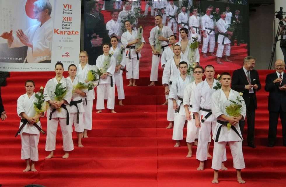  Puchar Świata w karate tradycyjnym w Lublinie (zdjęcie 27) - Autor: Wojciech Nieśpiałowski