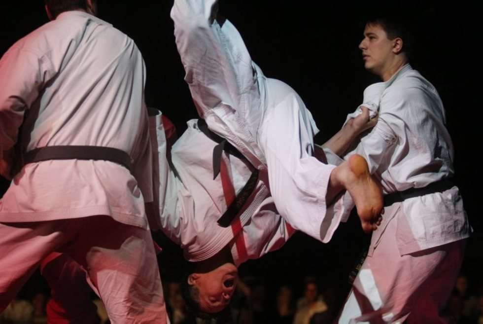  Puchar Świata w karate tradycyjnym w Lublinie (zdjęcie 29) - Autor: Wojciech Nieśpiałowski