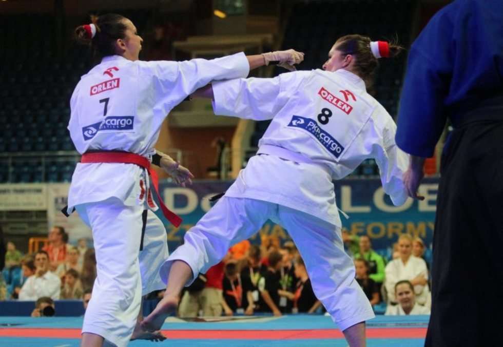  Puchar Świata w karate tradycyjnym w Lublinie  - Autor: Wojciech Nieśpiałowski