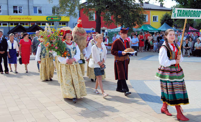 Dożynki powiatu biłgorajskiego - Autor: Starostwo Powiatowe w Biłgoraju
