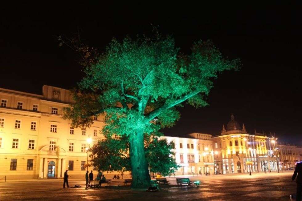  Iluminacje w centrum Lublina (zdjęcie 9) - Autor: Łukasz Dudkowski