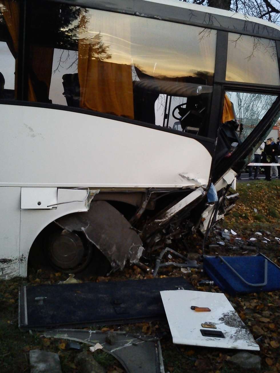  Firlej: Wypadek autobusu z weselnikami (zdjęcie 3) - Autor: Policja