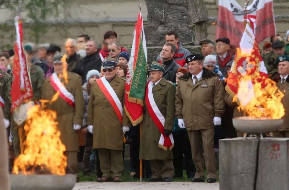  Święto Niepodległości w Lublinie (zdjęcie 15) - Autor: Dorota Awiorko - Klimek