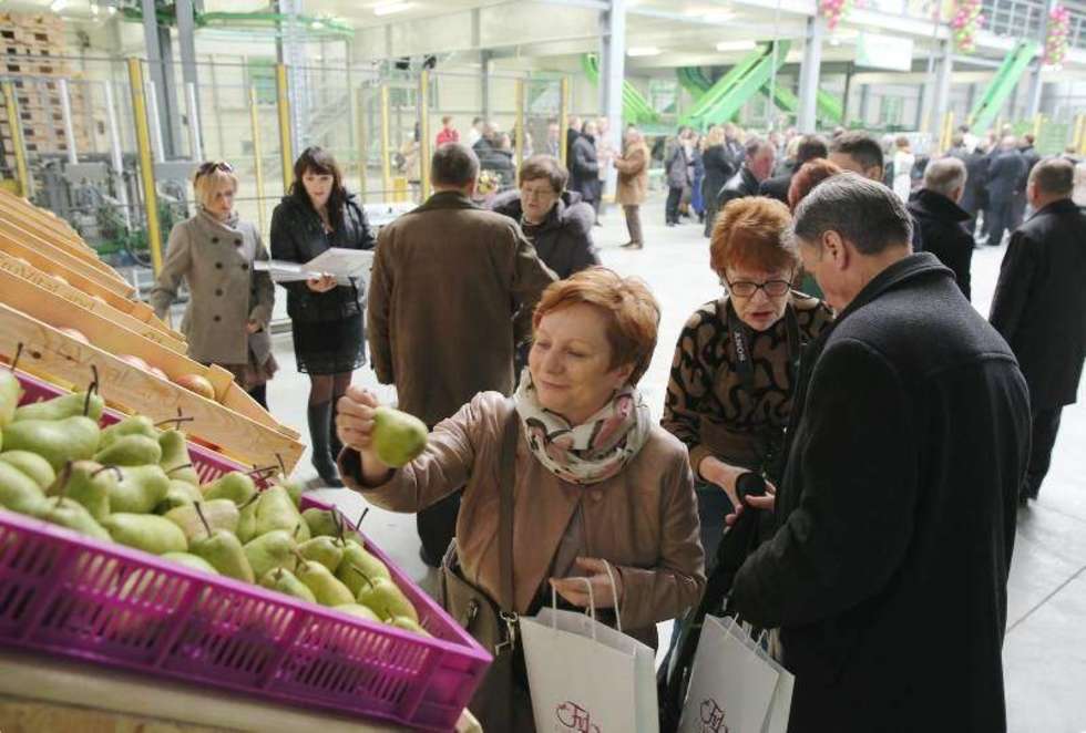  W Piotrawinie koło Opola Lubelskiego firma Fruvitaland skupiająca 128 producentów owoców i warzyw oficjalnie otworzyła centrum logistyczne z nowoczesną sortownią. Przedmiotem obrotu grupy są owoce jabłoni, wiśni, śliwy, gruszy, truskawki, maliny, porzeczki oraz warzywa. Fot. Maciej Kaczanowski  